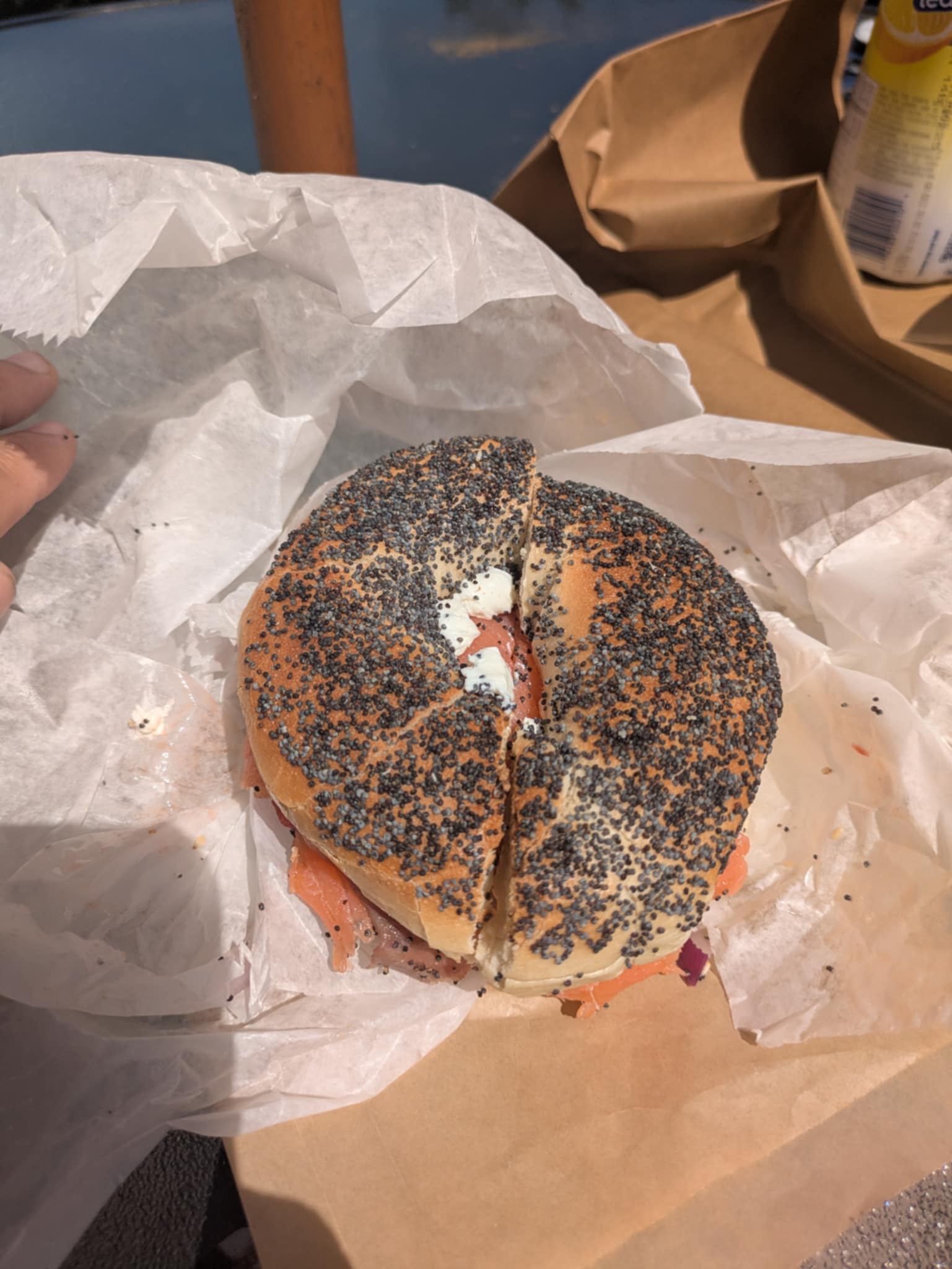 Whole Bagel