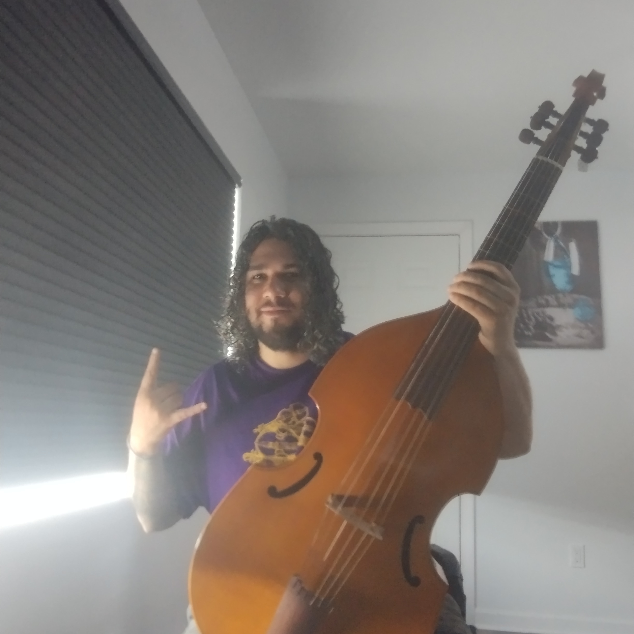 Viola da gamba